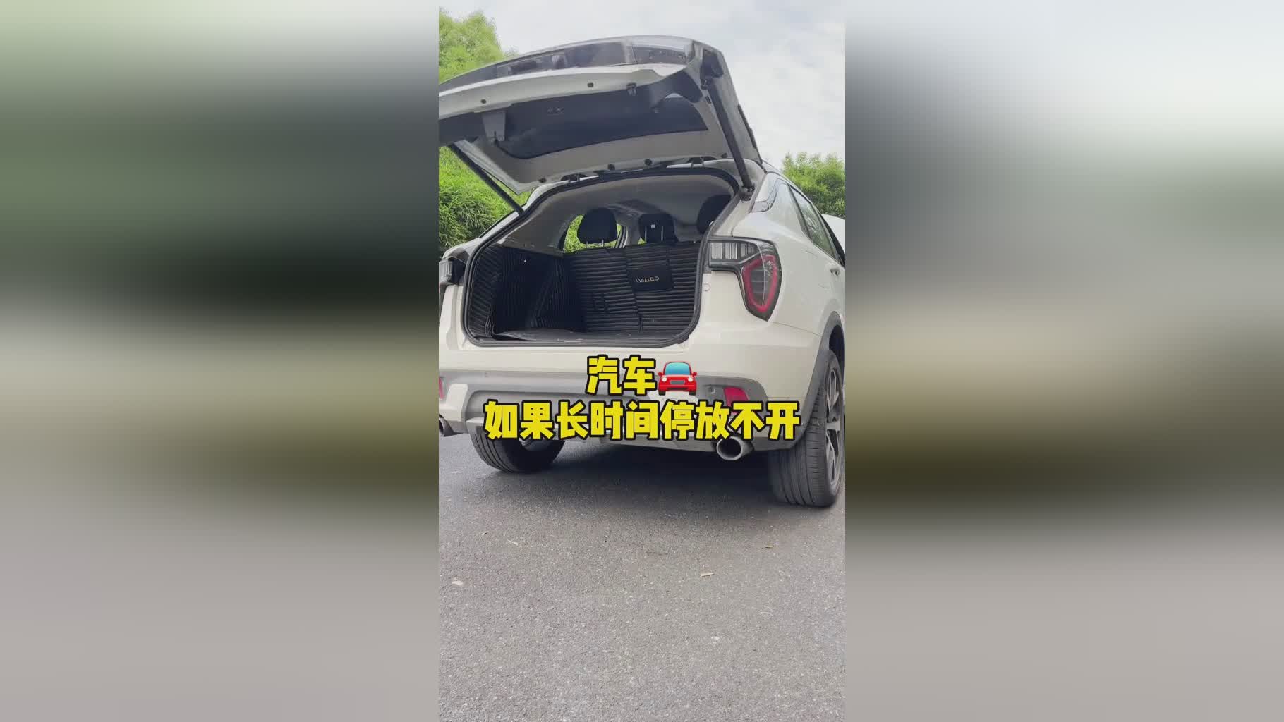 智利大学队：它们的要求取决于以下几点，europecnenazi