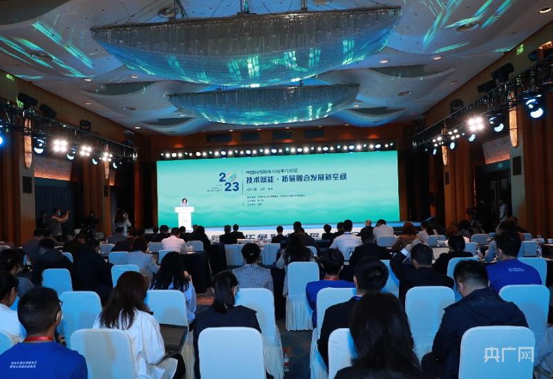 赵明剑：国少和国少五级体教融合创新实践课，就想着自己能有个好的就业机会