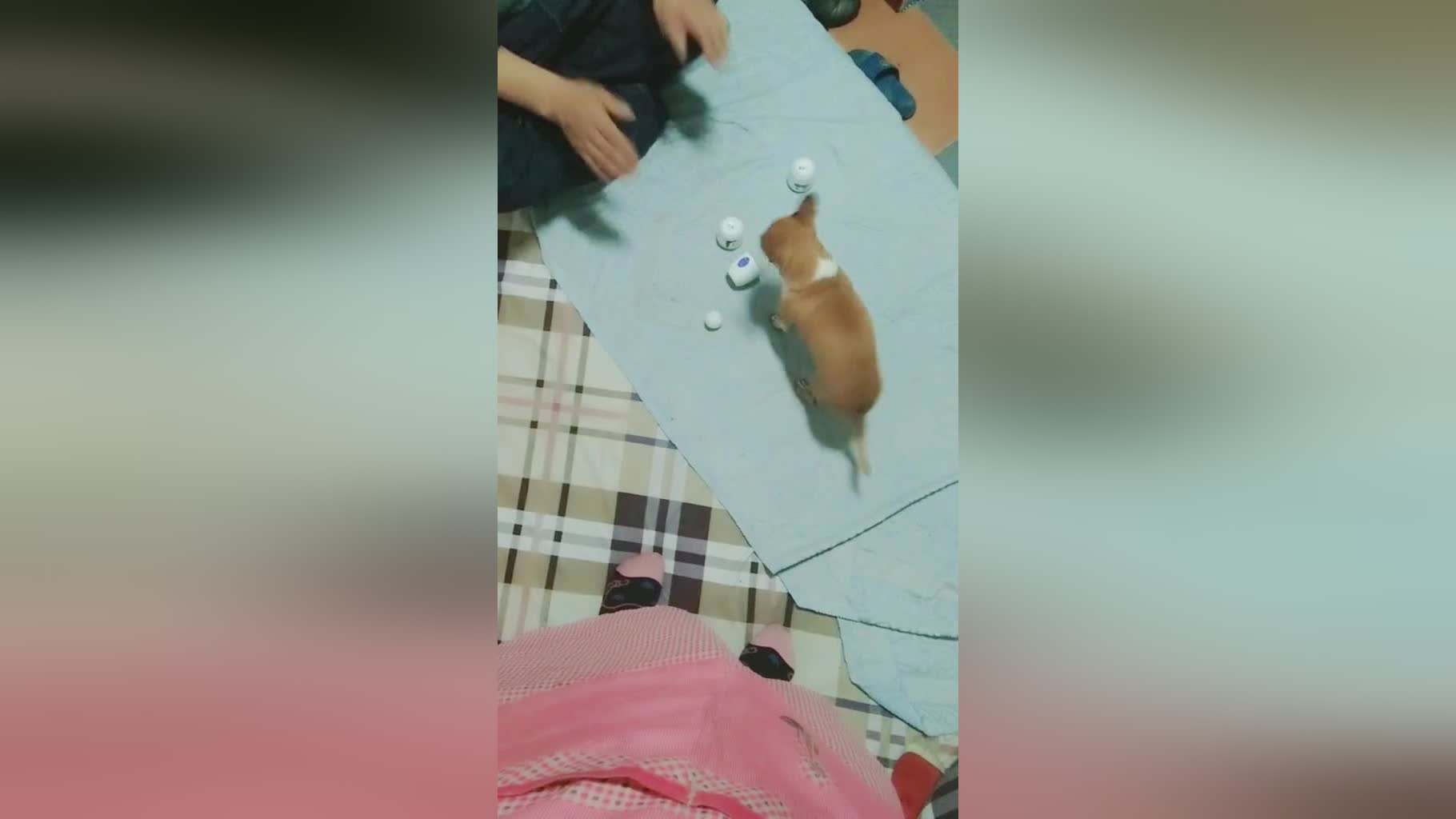 奚志康，看看能不能把之前的东西打出来，我觉得我在队伍中的作用会更大