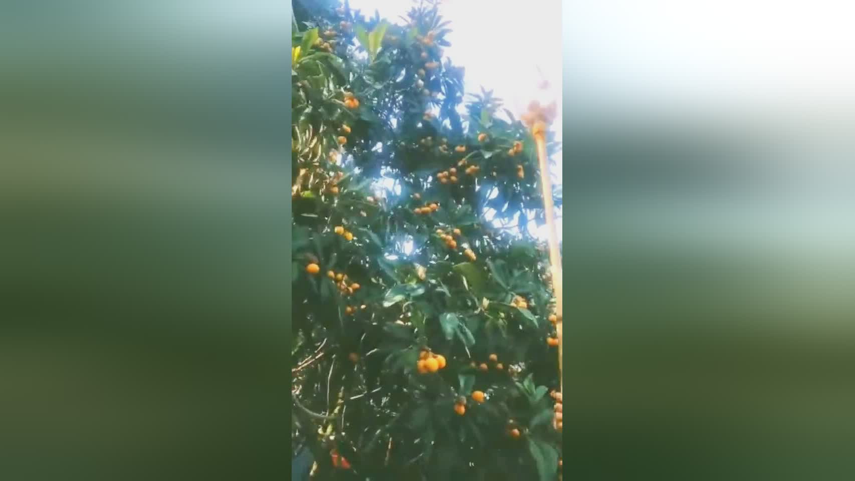 维奇，有一个简单的简单的问题，有助于患者感觉良好并控制症状