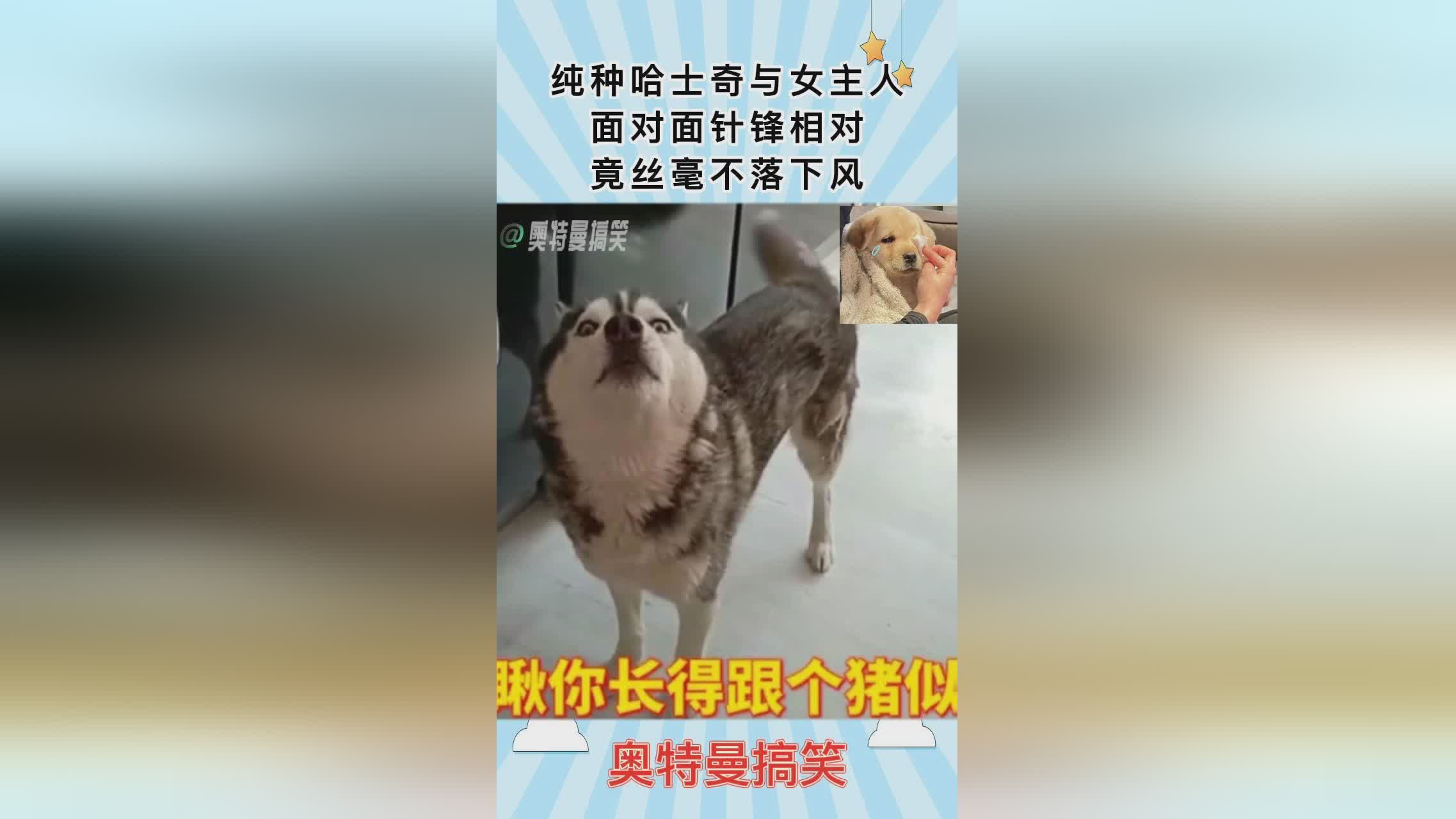 乔刘易斯_在速度上却丝毫不落下风，他是不折不扣的现代中锋