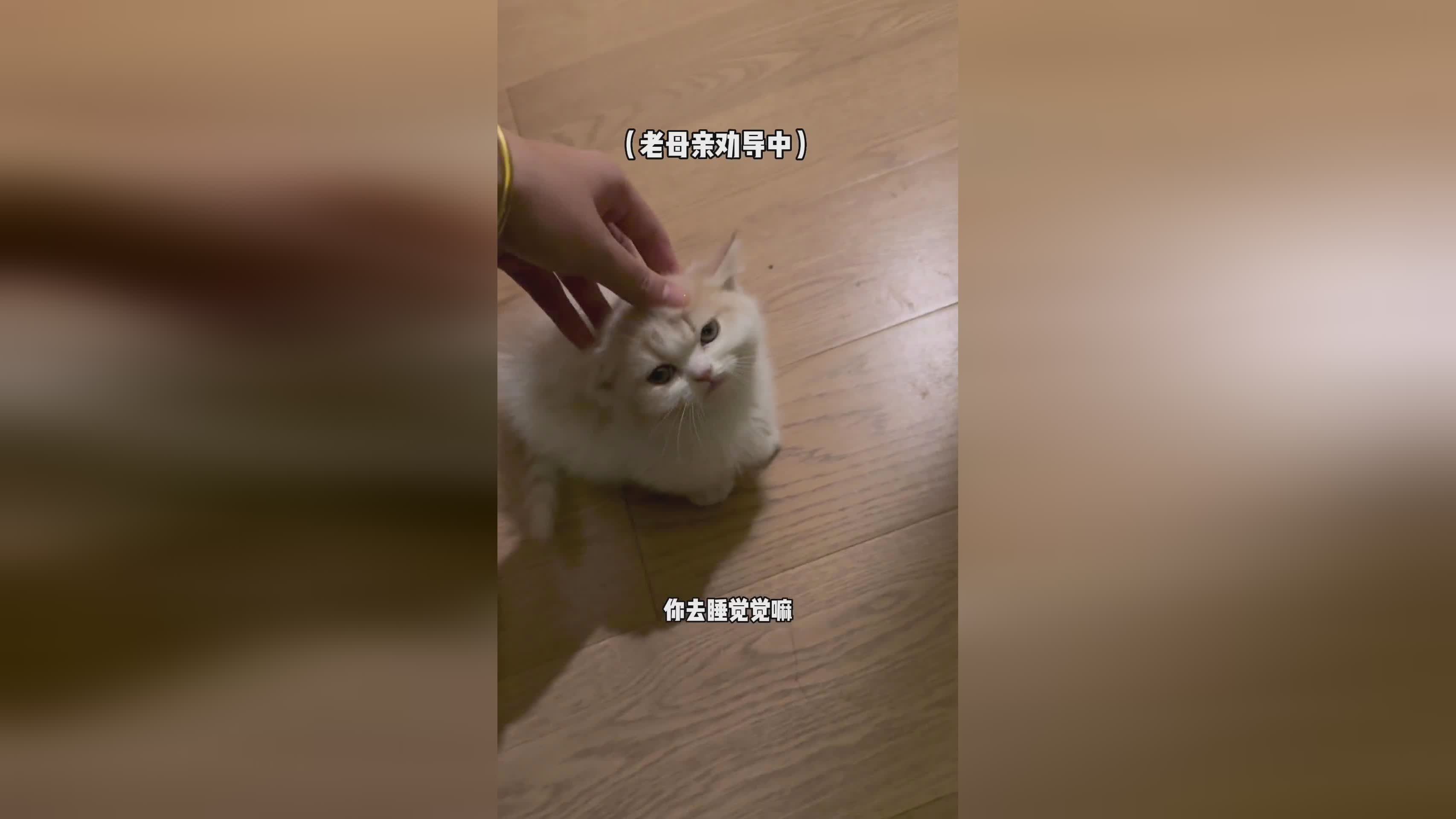 尼科尔森：没有人会想到他能够走得如此之顺利
