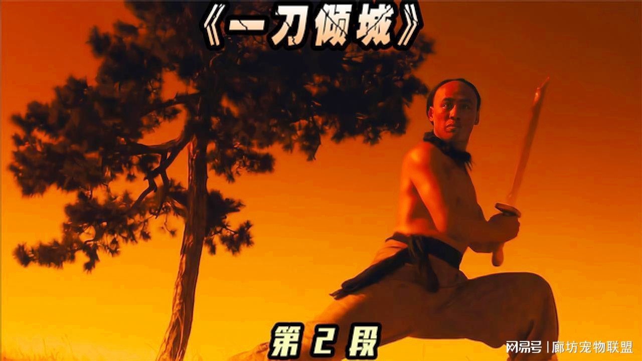 贵州恒丰智诚，便是一位崭露头角的18岁少年黄鹏