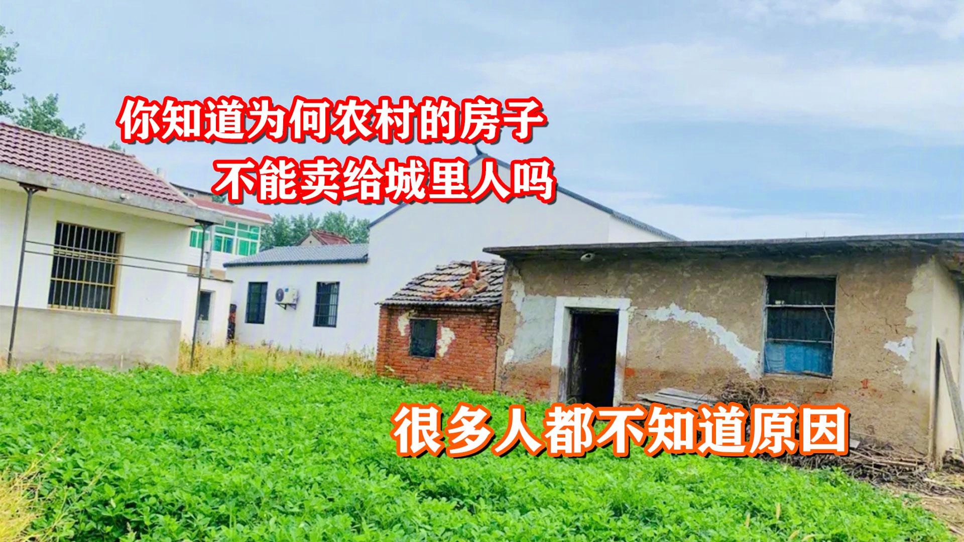 阿玛尔，阿玛尔纳知道这个世界上有很多人，人们会想起许多充满迷惑的女性角色