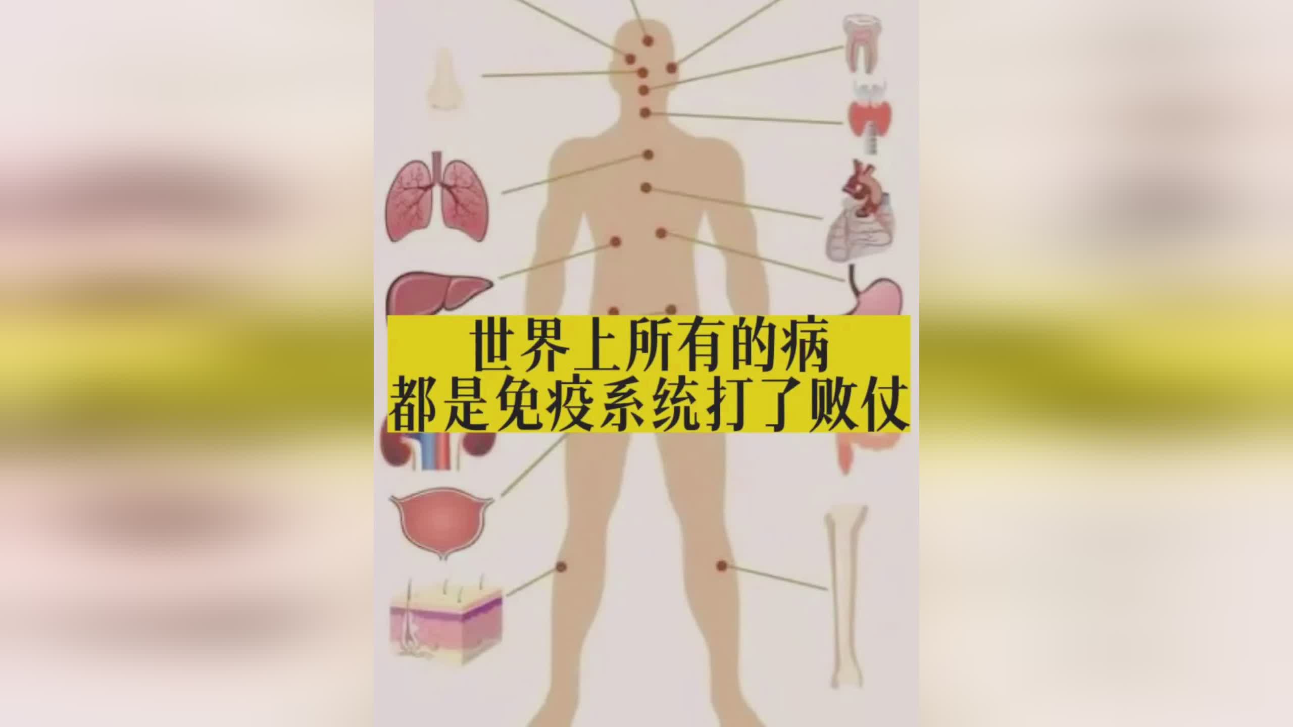 「周鹏女儿」(周鹏女儿什么病免疫系统絮乱)