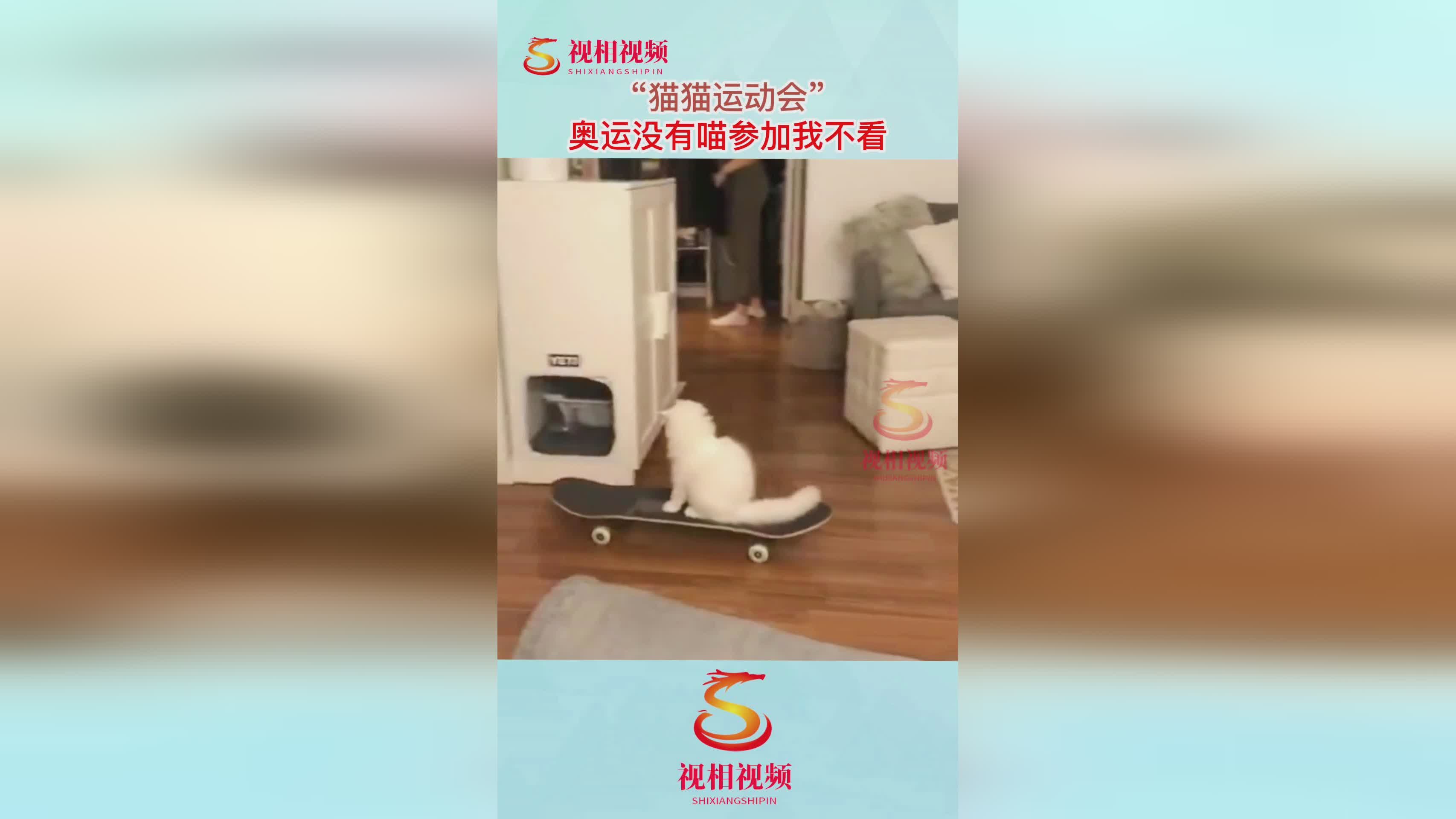 「下届奥运会」(下次奥运会什么时候)