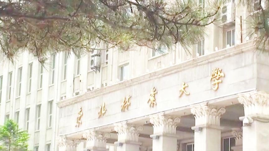 「西雅图大学」(西雅图大学相当于国内什么大学)