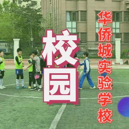 足球比赛录像_2023年星耀五洲杯足球比赛录像