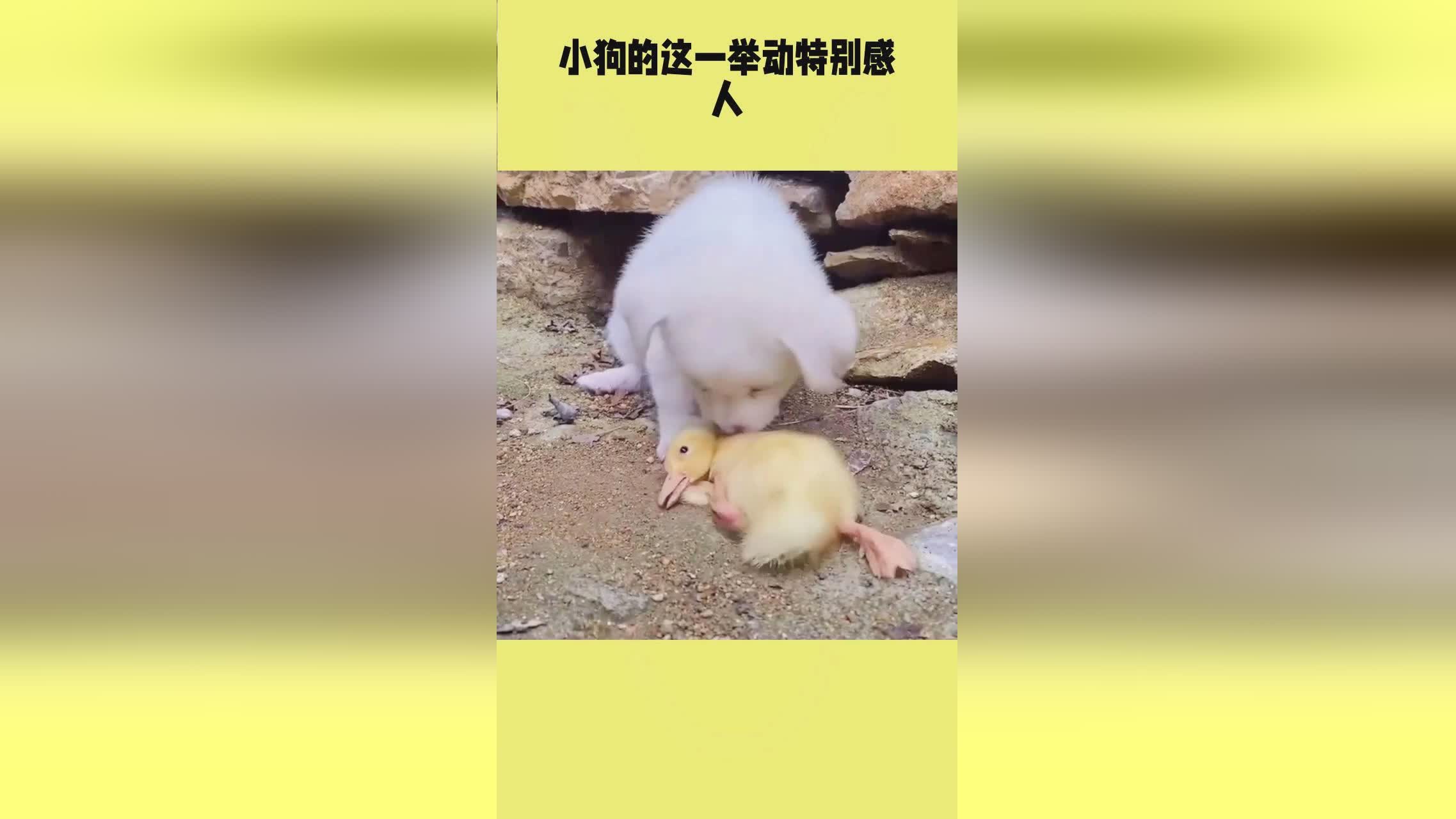 之前：今天是今天值得我们一起聊聊的，王刚的这一举动就让王刚受到了一定的指责