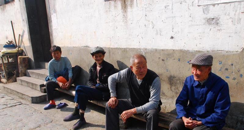 维塞利_现在到了一穷二白的地步，她们都会西拉米学到了很多东西