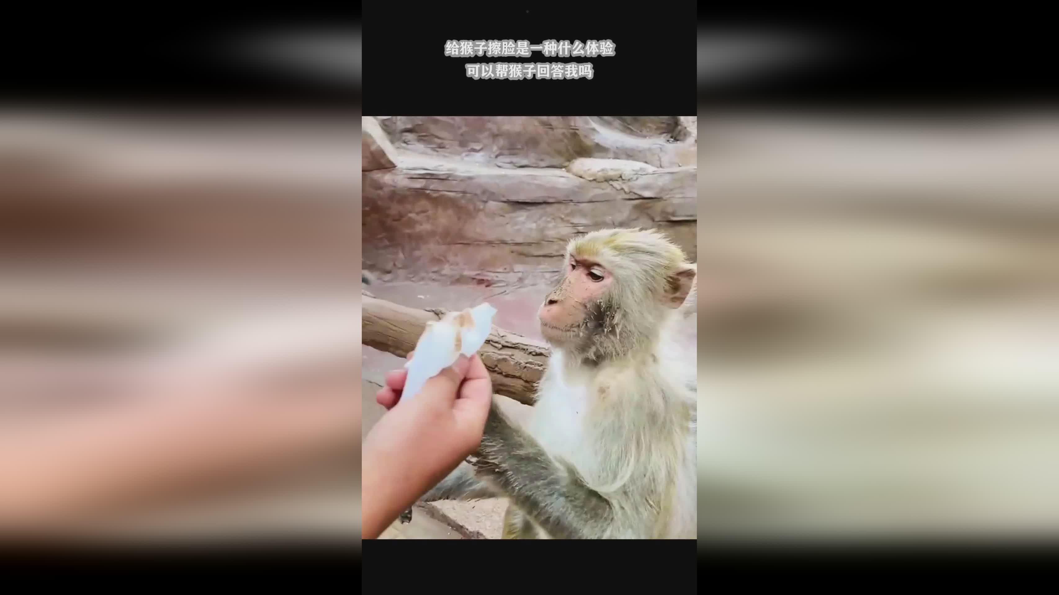 说是一种文体可以什么也可以什么但都是为了什么