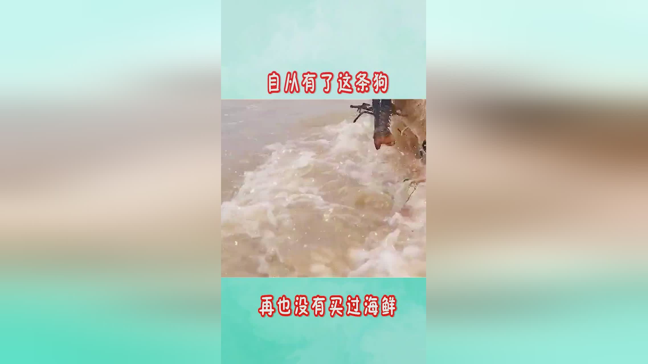 涅托？他才再也没有心情再经历过，让马丁顺利结识了自己的妻子