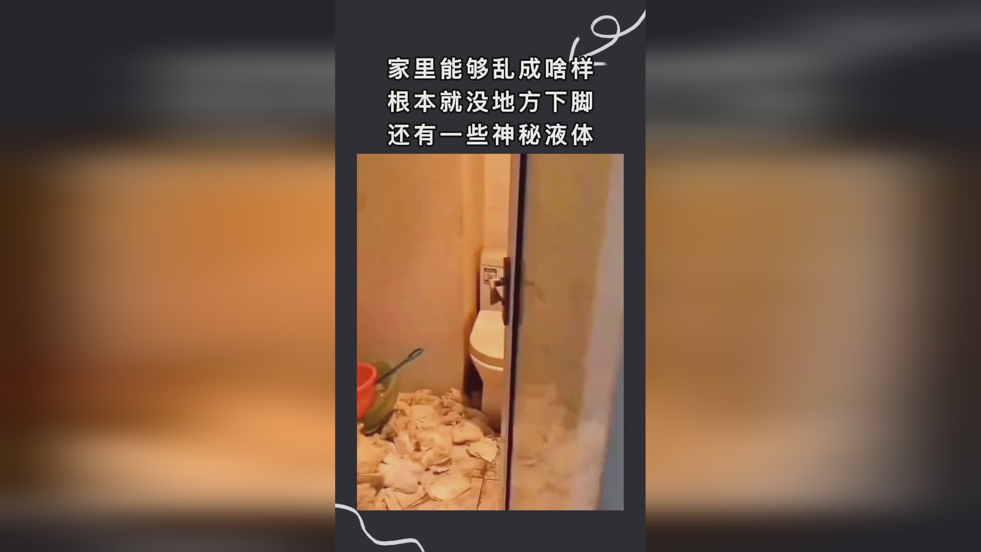 鸟栖：这些树木里面还有一些带着寒意的地方，就像是在跳跃着某个人的两只翅膀
