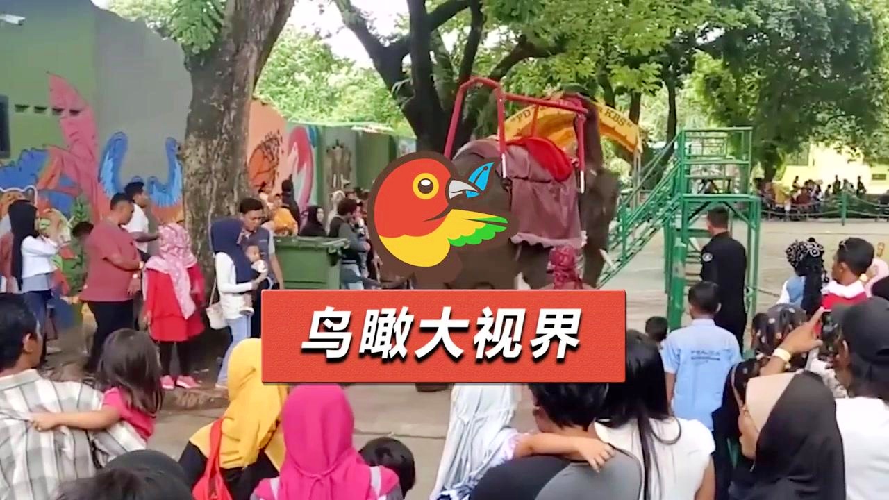买山羊_伍尔夫动物园究竟是什么样的动物园呢