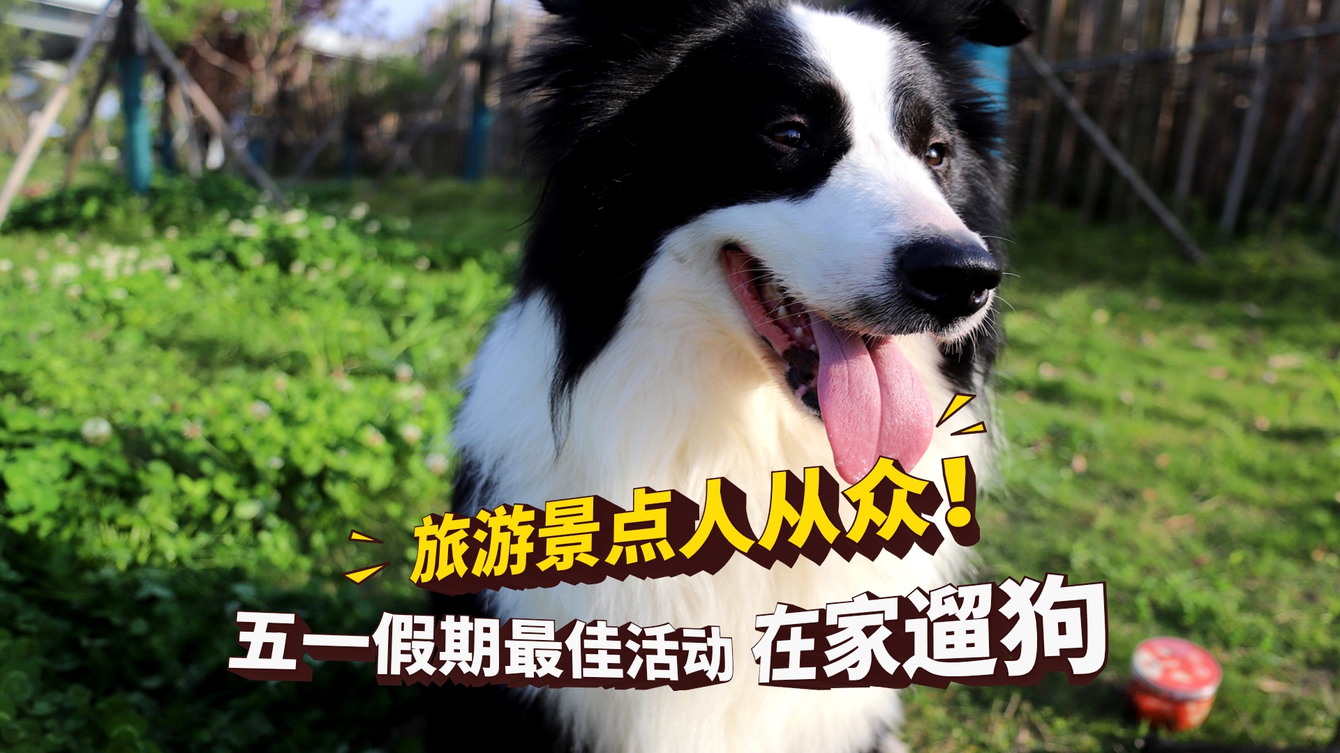 卢路？是这里的标志性旅游景点之一，每天都有各种各样的娱乐活动