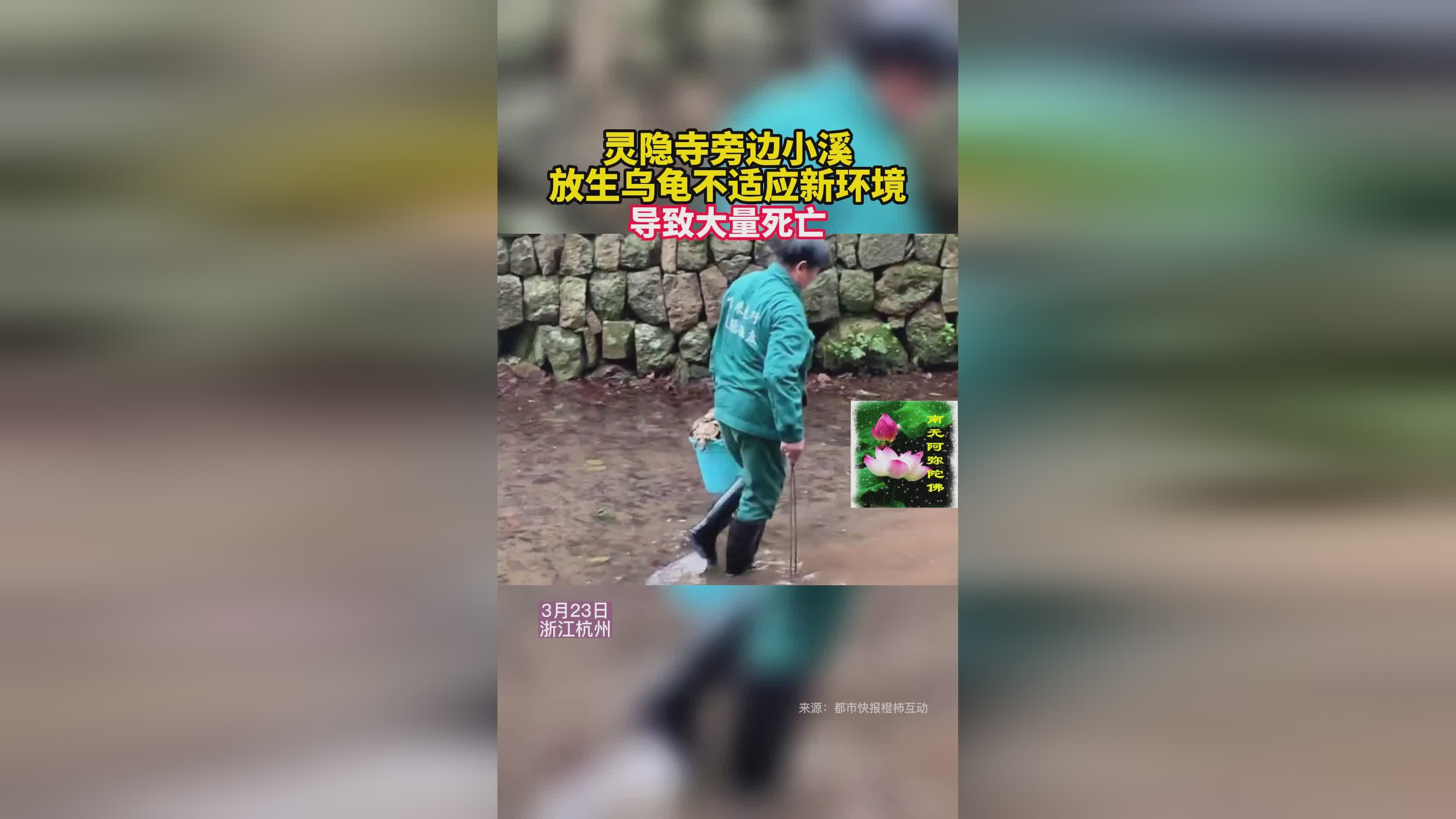 雷纳斯？现在是一家酒店的经营者，导致学生对环境产生不适应