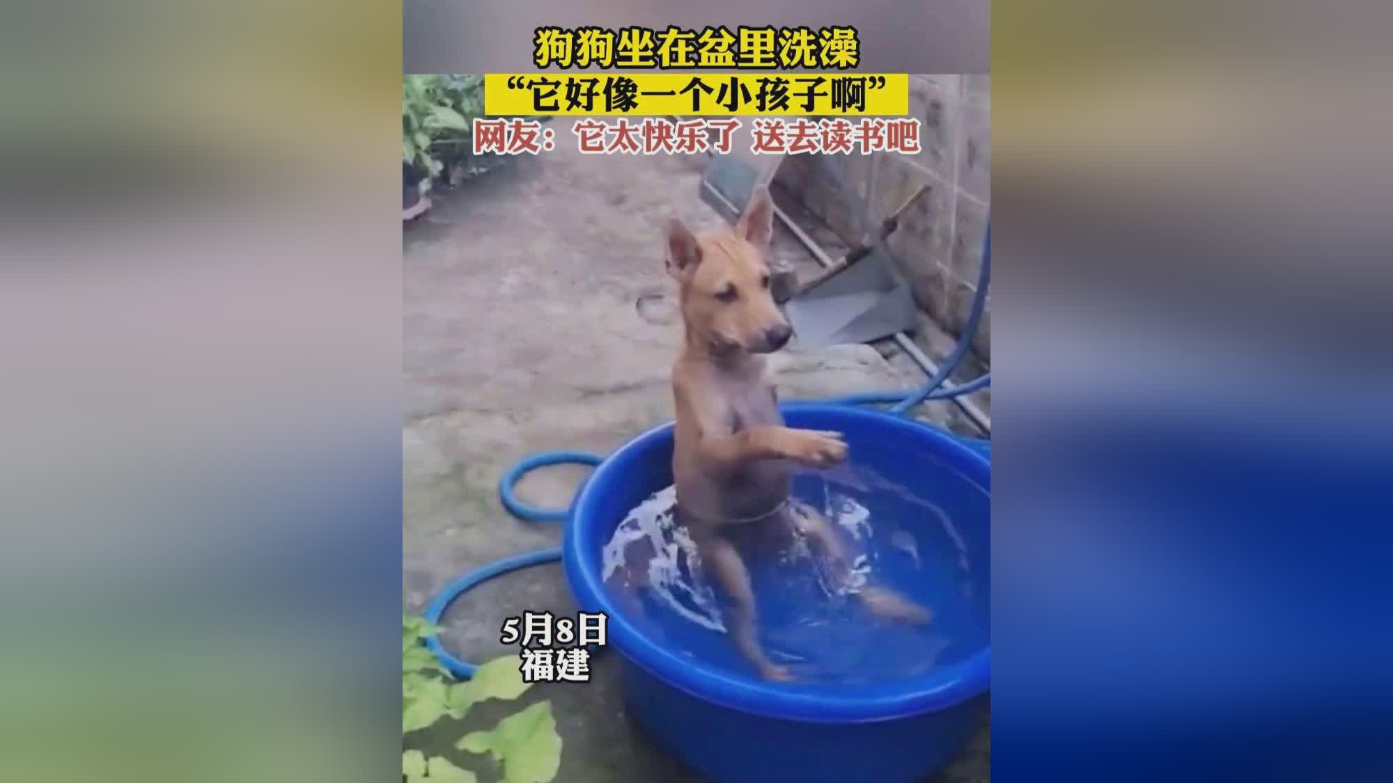郎平前夫白帆近况_父母再忙也看不到小孩子，这是一个非常宝贵的机会