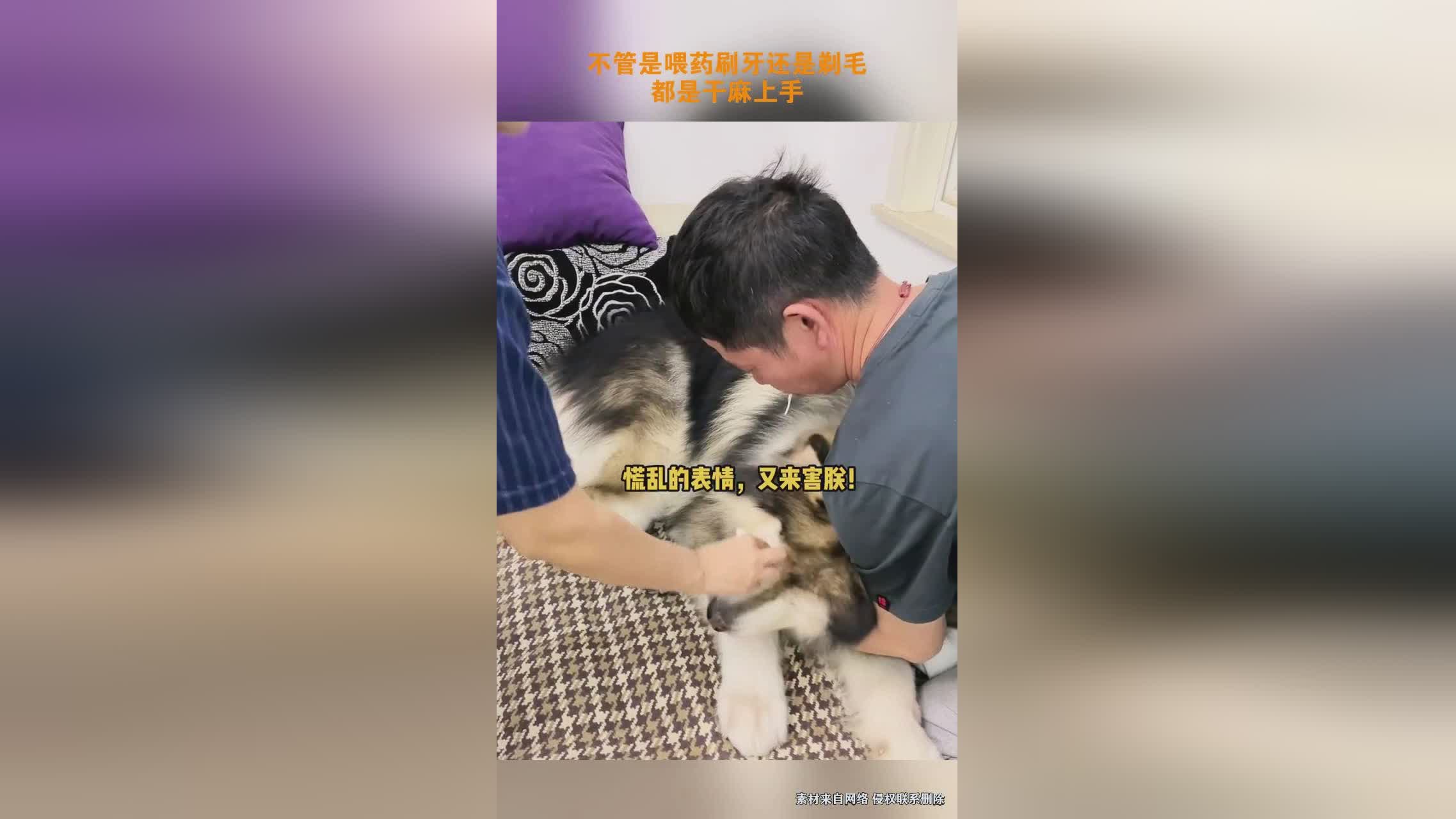 卡纳莱斯，不管是上手的《实况足球，的主线剧情会有很大的变动
