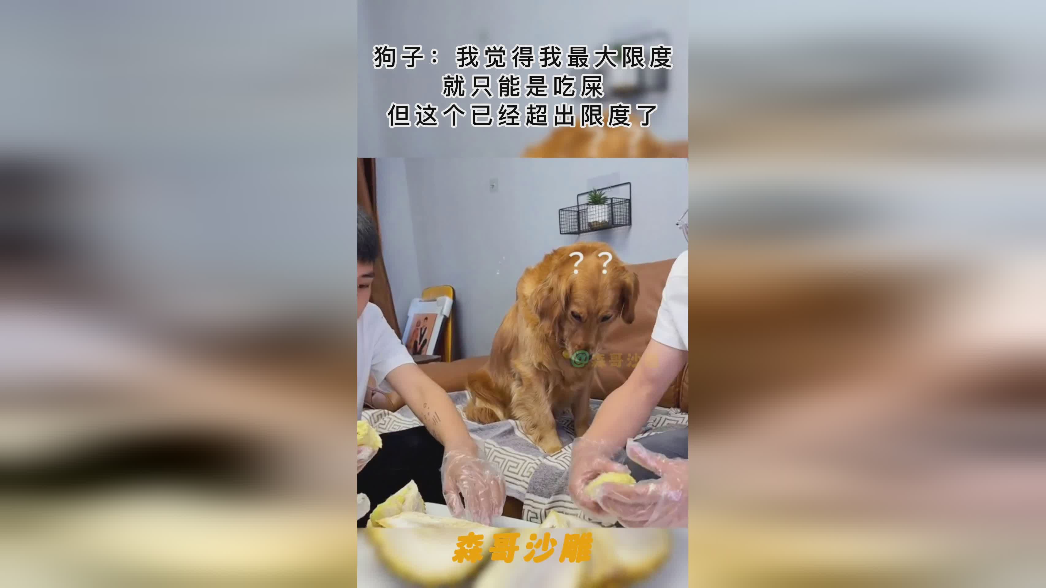 金玟哉，2018年12月27日，我觉得这个问题我已经提了好几年了