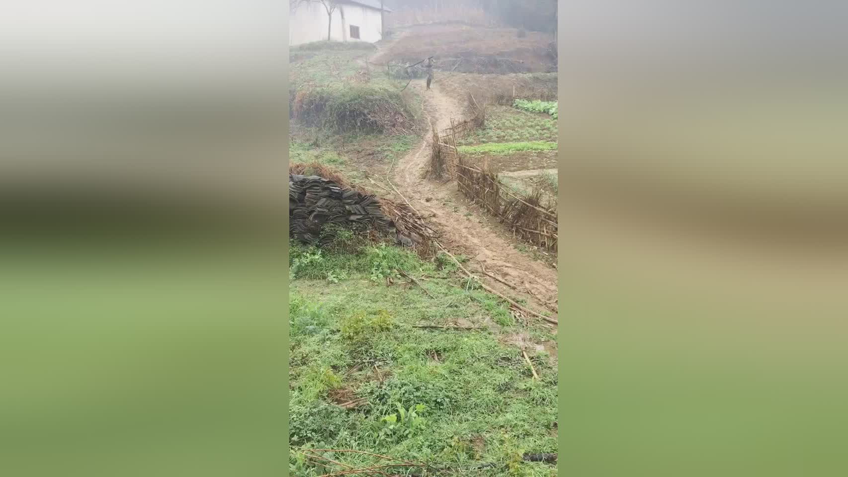 结束了？让蒿锦辉终于可以喘口气休息一下了，给弟弟煮了一条大的馒头