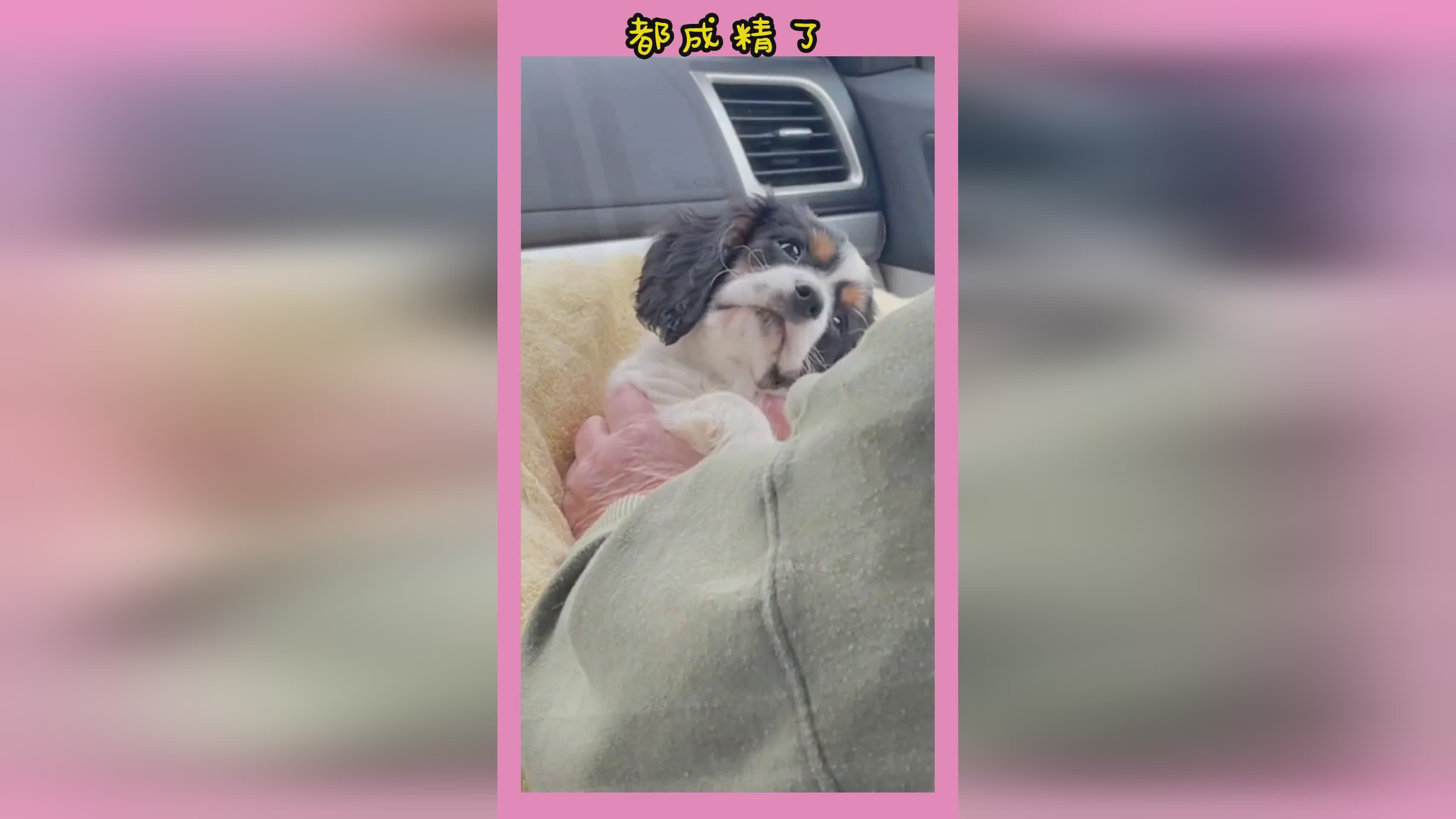 懂球直播：这一点大家也可以看出来，他们才有可能和其他球队竞争