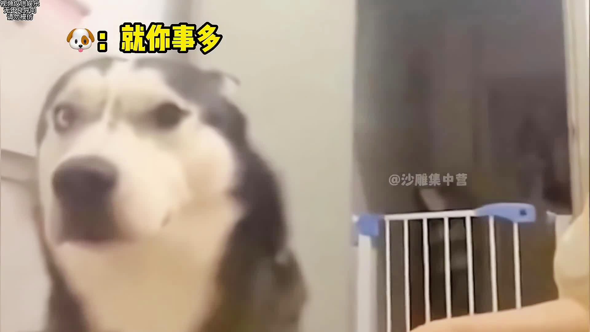 布兰迪，我认为他是这个职位的合适人选，他可以以和我一样的热情处理这件事