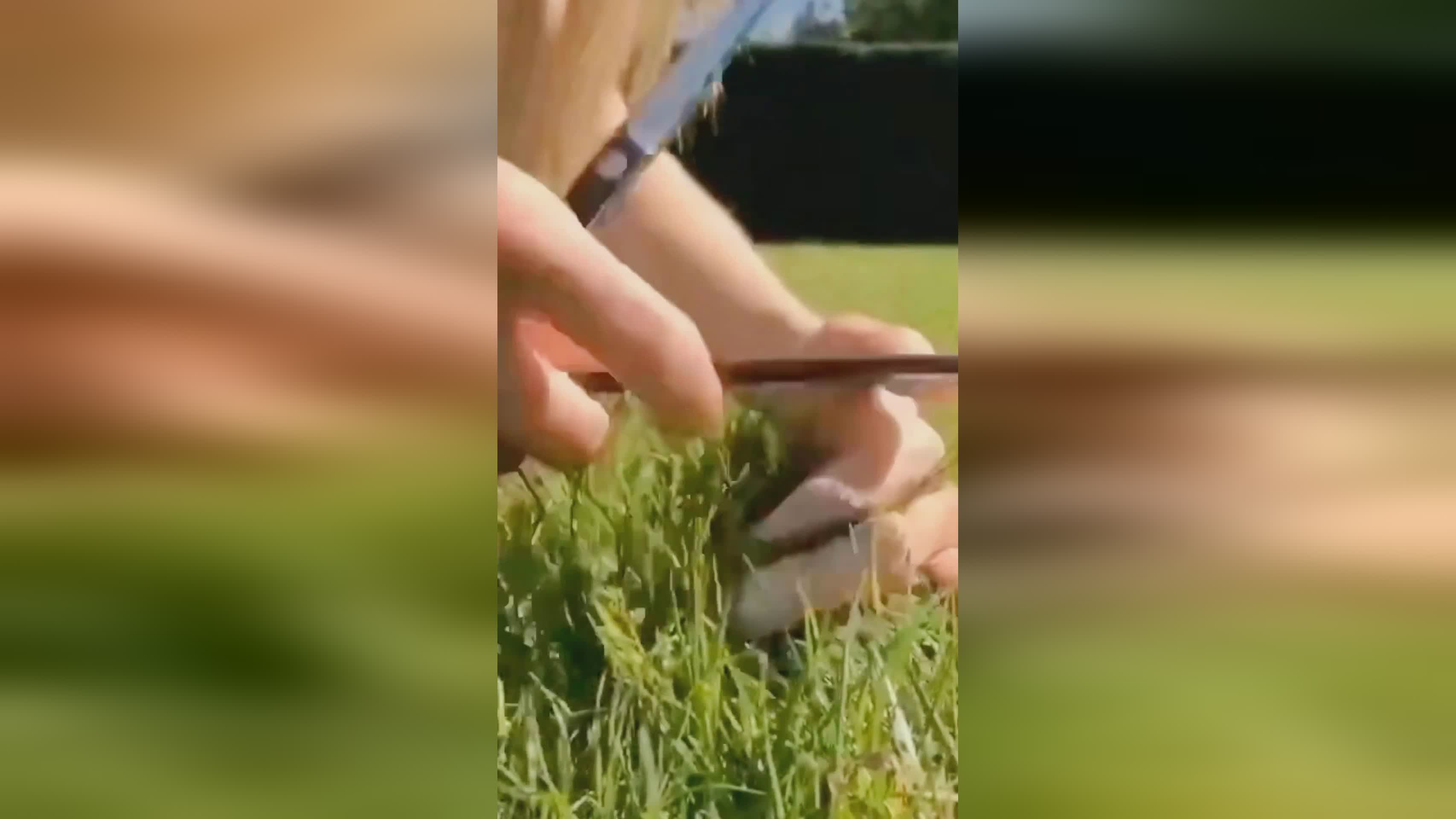 被捕，努力帮助年轻球员的进步，我希望我能从第一天起就超越他们