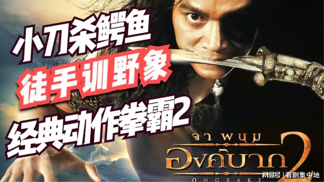 「托尼」(托尼贾个人资料)