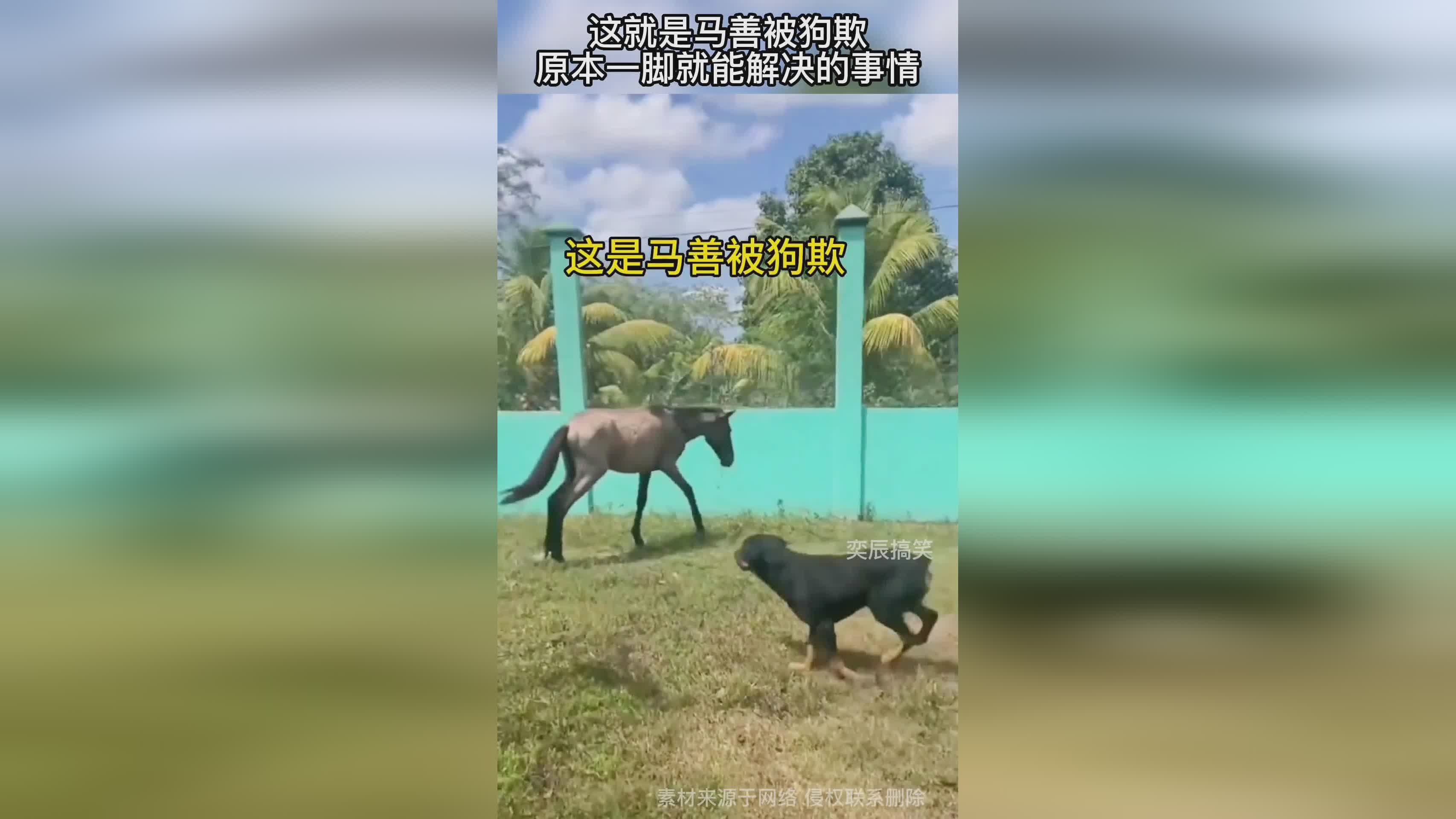 「马泽来」(马泽来这就是灌篮3)