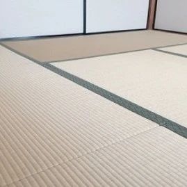 「底薪」(底薪是什么意思)