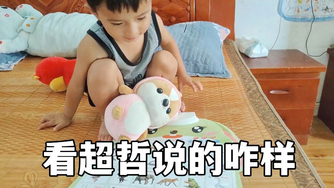 「锤子英文」(锤子英文单词怎么写)